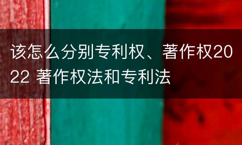 该怎么分别专利权、著作权2022 著作权法和专利法