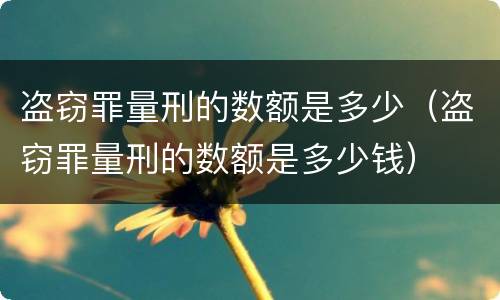 盗窃罪量刑的数额是多少（盗窃罪量刑的数额是多少钱）