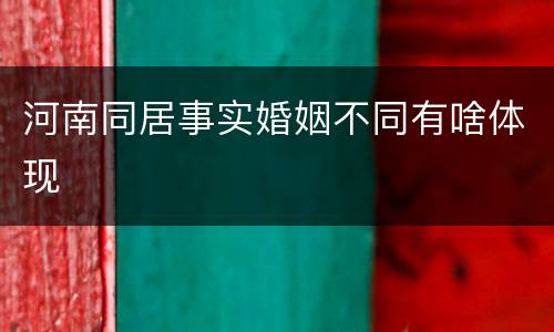 河南同居事实婚姻不同有啥体现