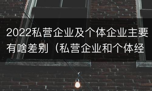 2022私营企业及个体企业主要有啥差别（私营企业和个体经济的区别）