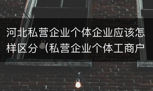 河北私营企业个体企业应该怎样区分（私营企业个体工商户区别）
