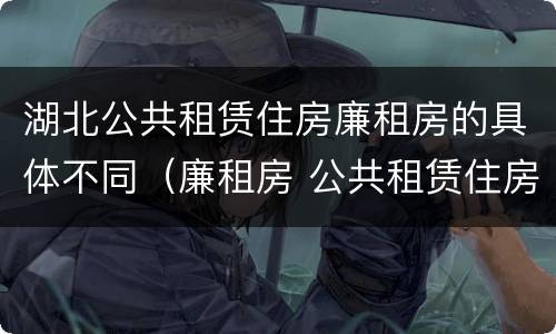 湖北公共租赁住房廉租房的具体不同（廉租房 公共租赁住房）