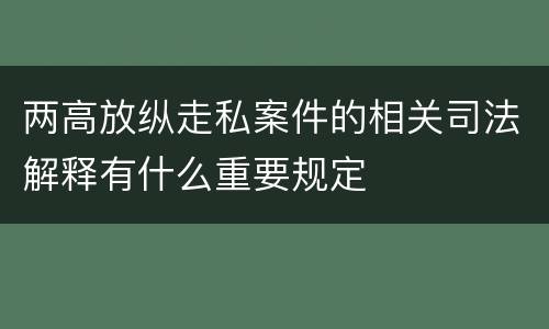 两高放纵走私案件的相关司法解释有什么重要规定