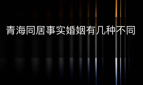 青海同居事实婚姻有几种不同