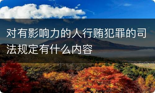 对有影响力的人行贿犯罪的司法规定有什么内容