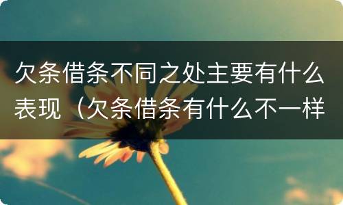 欠条借条不同之处主要有什么表现（欠条借条有什么不一样）