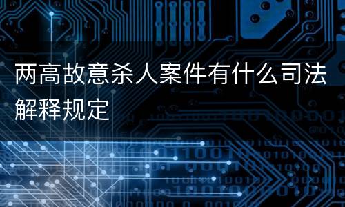 两高故意杀人案件有什么司法解释规定