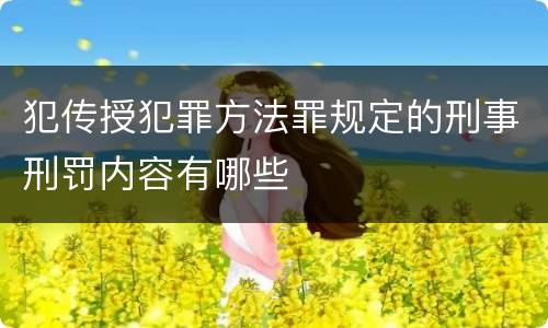 犯传授犯罪方法罪规定的刑事刑罚内容有哪些