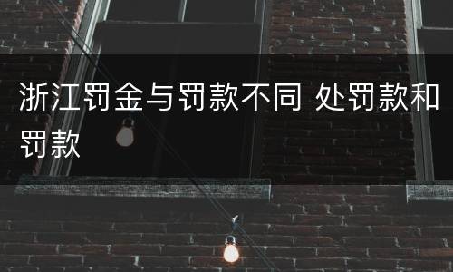 浙江罚金与罚款不同 处罚款和罚款