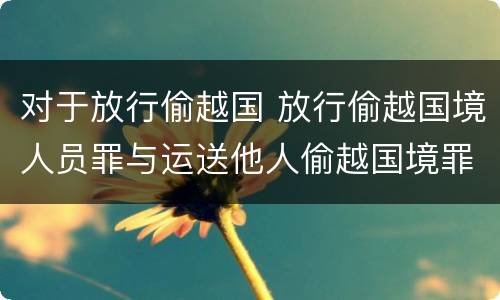 对于放行偷越国 放行偷越国境人员罪与运送他人偷越国境罪共犯
