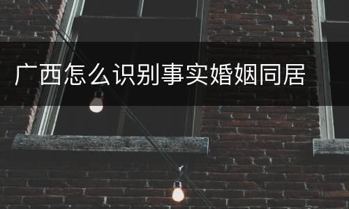 广西怎么识别事实婚姻同居