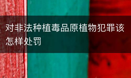 对非法种植毒品原植物犯罪该怎样处罚