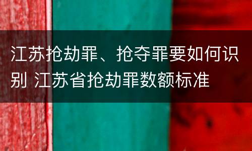 江苏抢劫罪、抢夺罪要如何识别 江苏省抢劫罪数额标准