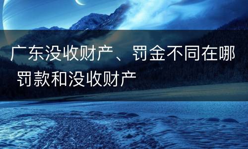 广东没收财产、罚金不同在哪 罚款和没收财产