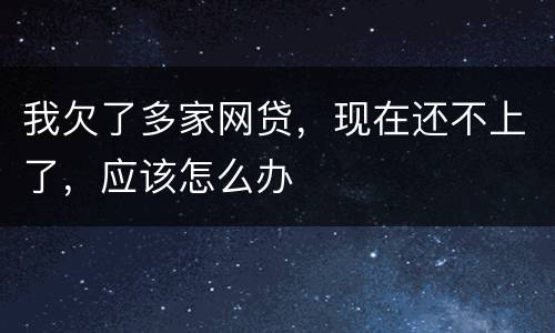 我欠了多家网贷，现在还不上了，应该怎么办