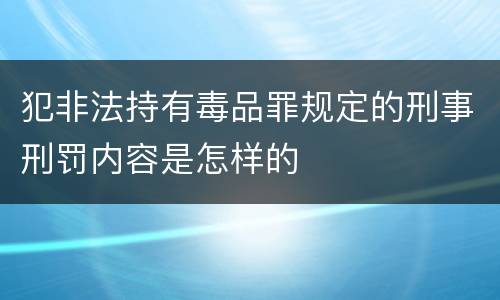 犯非法持有毒品罪规定的刑事刑罚内容是怎样的