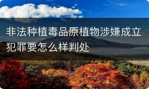 非法种植毒品原植物涉嫌成立犯罪要怎么样判处