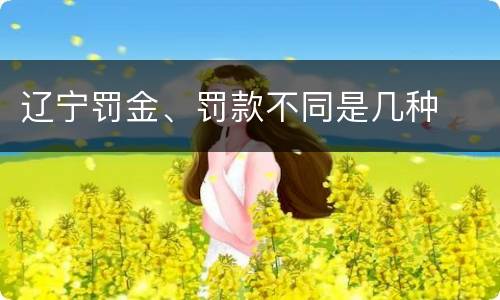 辽宁罚金、罚款不同是几种