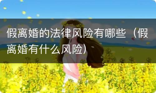 假离婚的法律风险有哪些（假离婚有什么风险）