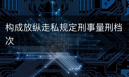 构成放纵走私规定刑事量刑档次