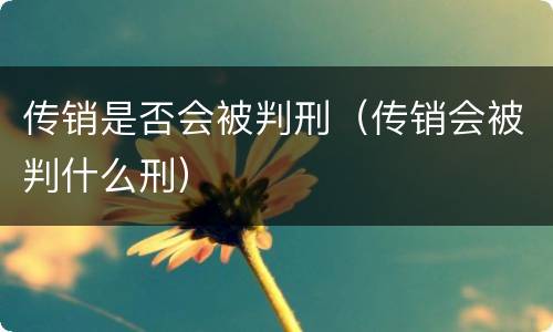 传销是否会被判刑（传销会被判什么刑）