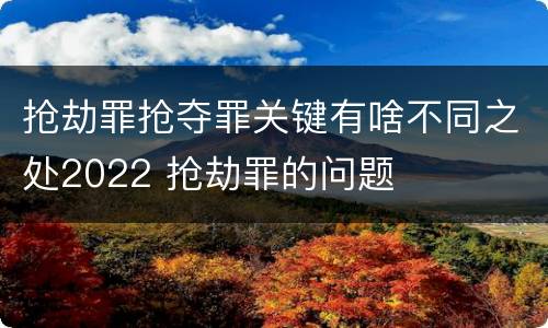 抢劫罪抢夺罪关键有啥不同之处2022 抢劫罪的问题