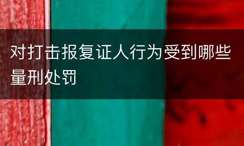 对打击报复证人行为受到哪些量刑处罚