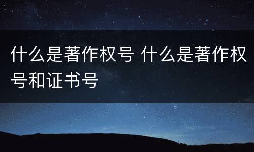 什么是著作权号 什么是著作权号和证书号