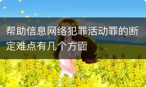 帮助信息网络犯罪活动罪的断定难点有几个方面