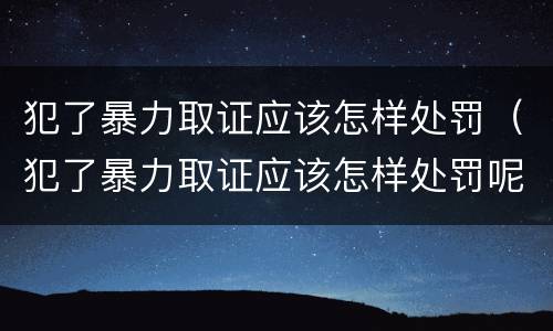 犯了暴力取证应该怎样处罚（犯了暴力取证应该怎样处罚呢）