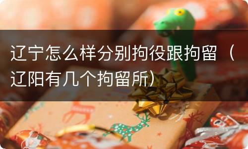 辽宁怎么样分别拘役跟拘留（辽阳有几个拘留所）