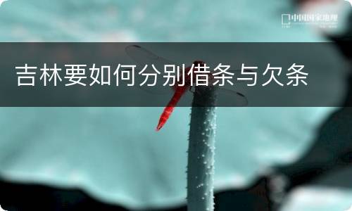 吉林要如何分别借条与欠条