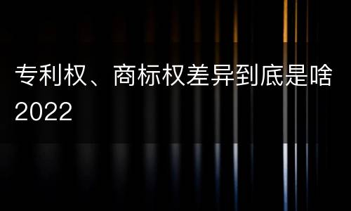 专利权、商标权差异到底是啥2022