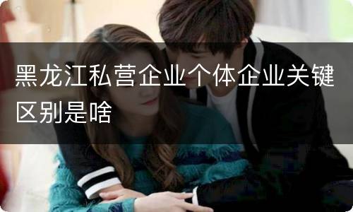 黑龙江私营企业个体企业关键区别是啥