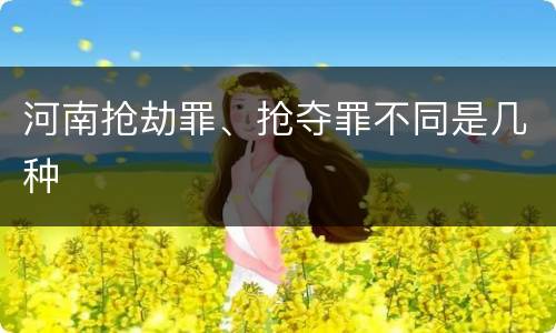 河南抢劫罪、抢夺罪不同是几种