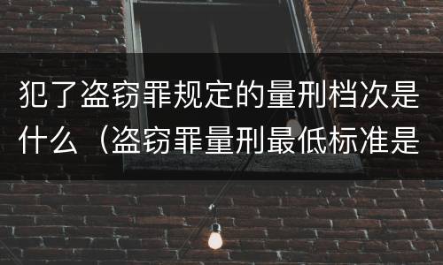 犯了盗窃罪规定的量刑档次是什么（盗窃罪量刑最低标准是）