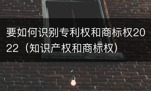 要如何识别专利权和商标权2022（知识产权和商标权）