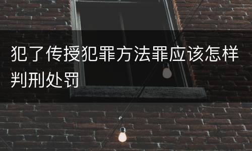 犯了传授犯罪方法罪应该怎样判刑处罚