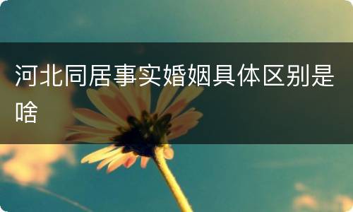 河北同居事实婚姻具体区别是啥