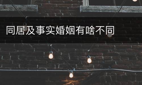 同居及事实婚姻有啥不同