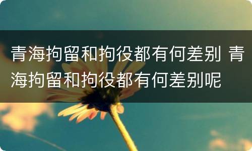 青海拘留和拘役都有何差别 青海拘留和拘役都有何差别呢