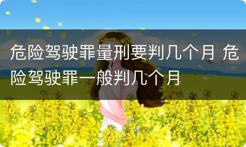 危险驾驶罪量刑要判几个月 危险驾驶罪一般判几个月
