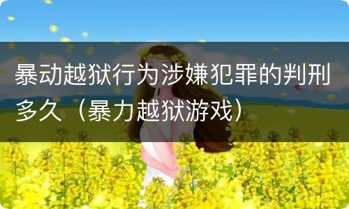 暴动越狱行为涉嫌犯罪的判刑多久（暴力越狱游戏）