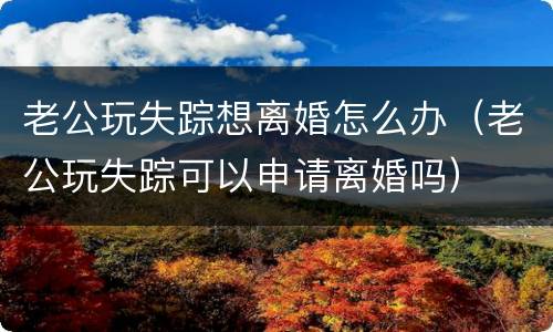 老公玩失踪想离婚怎么办（老公玩失踪可以申请离婚吗）