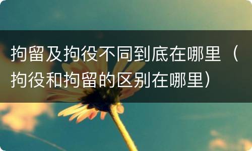 拘留及拘役不同到底在哪里（拘役和拘留的区别在哪里）