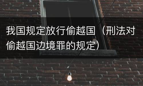 我国规定放行偷越国（刑法对偷越国边境罪的规定）