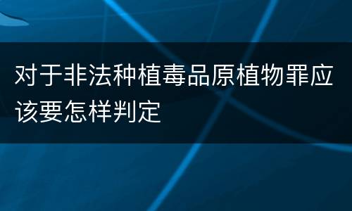 对于非法种植毒品原植物罪应该要怎样判定