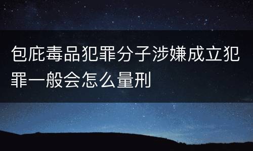包庇毒品犯罪分子涉嫌成立犯罪一般会怎么量刑