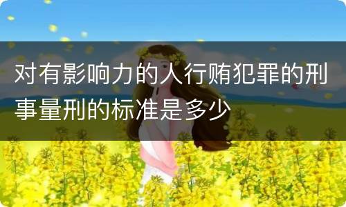 对有影响力的人行贿犯罪的刑事量刑的标准是多少