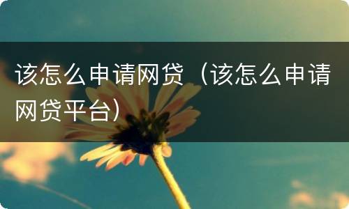 该怎么申请网贷（该怎么申请网贷平台）
